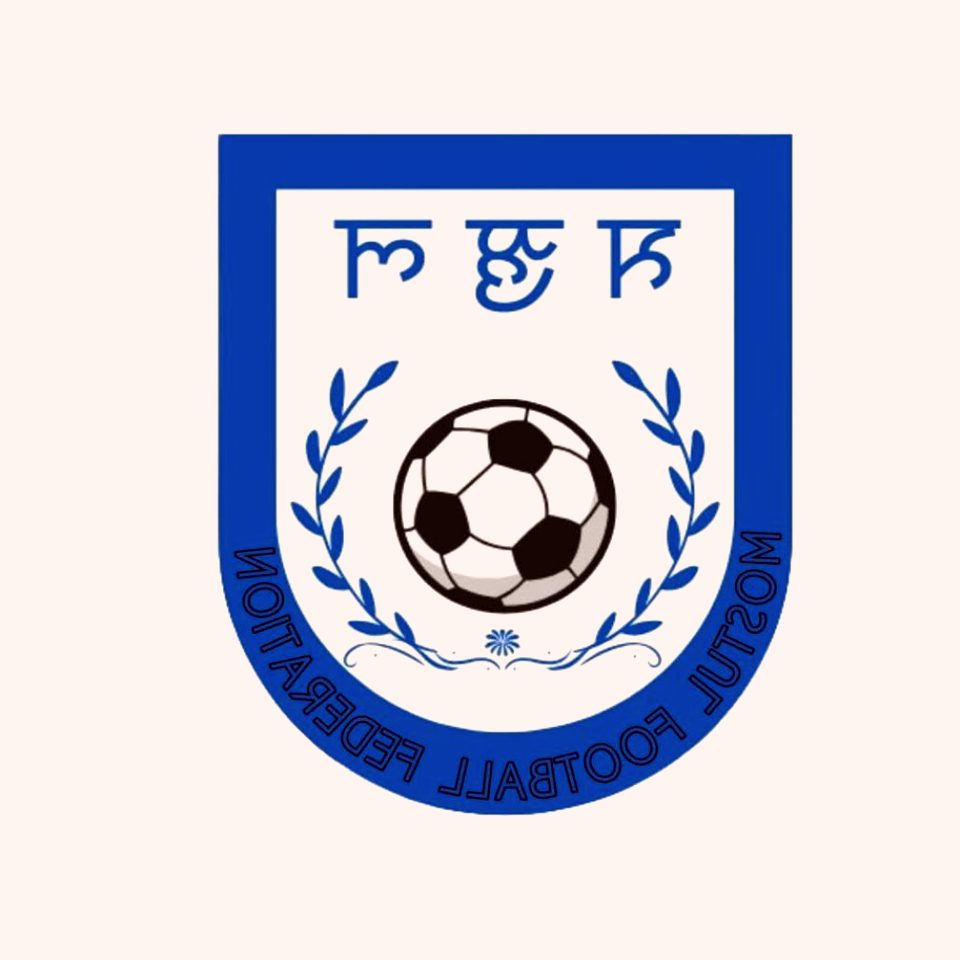 2026赛季NFL常规赛 · 华体会版